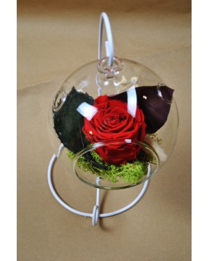 Perfect Balance Mini