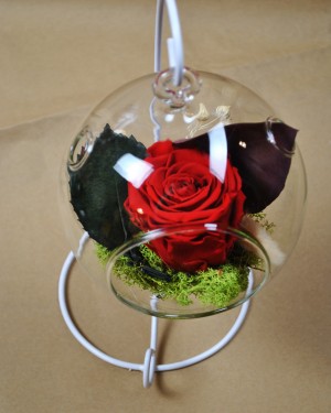 Perfect Balance Mini