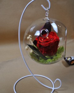 Perfect Balance Mini