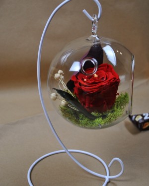 Perfect Balance Mini