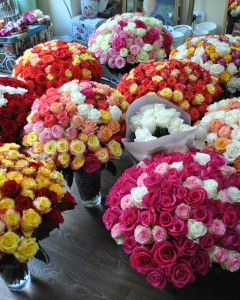 One Thousand One Roses