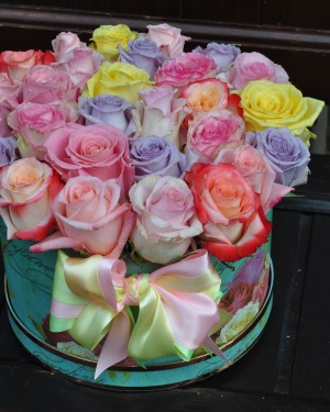 51 BOX