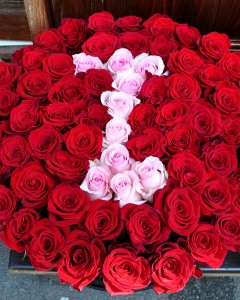 Velvet Collection Boxes