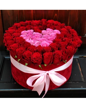 Velvet Collection Boxes