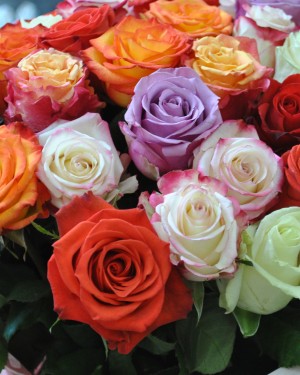 Buchet trandafiri Energique