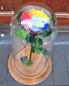 Beauty and the Beast Rainbow