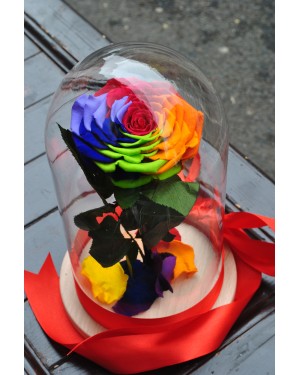 Beauty and the Beast Rainbow