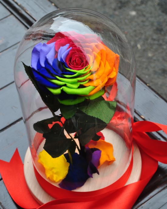 Beauty and the Beast Rainbow