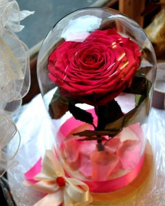 Beauty and the Beast