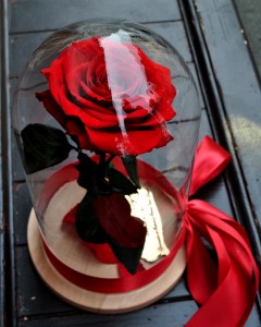 Beauty and the Beast