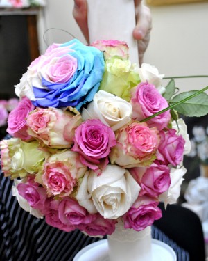 Rainbow of Love Rainbow of Love